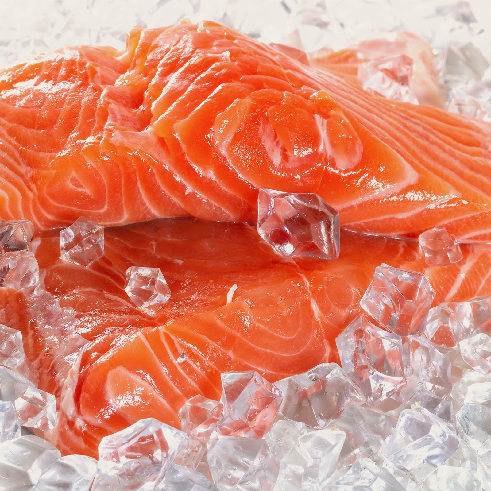 03_salmon